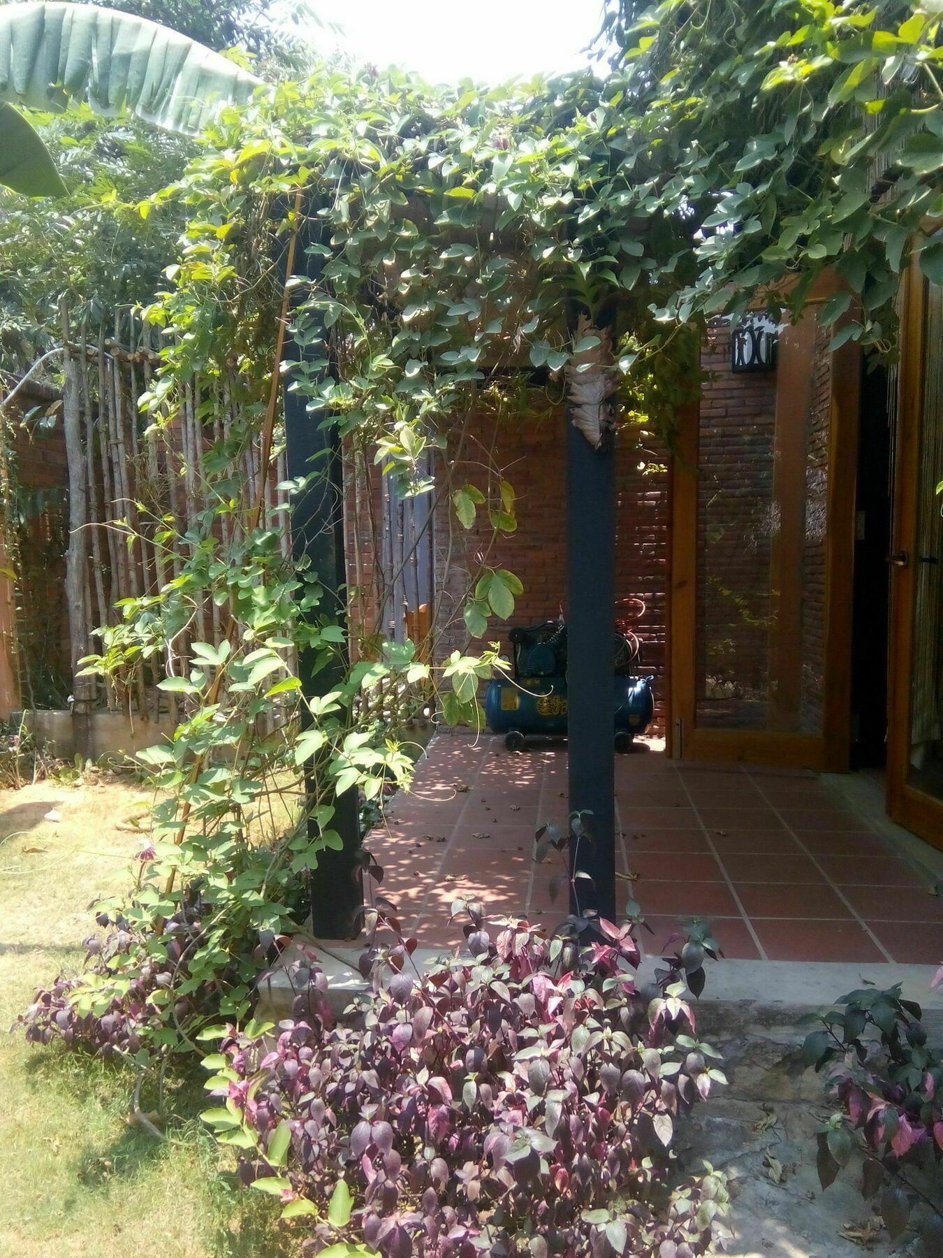 Курортный комплекс La Paloma 3*